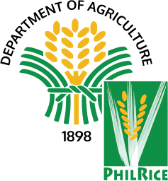 philippine-rice-research-institute