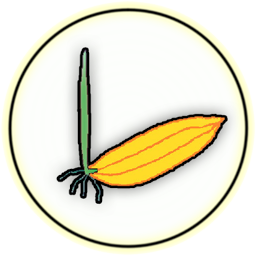 bpi-national-seed-industry-council